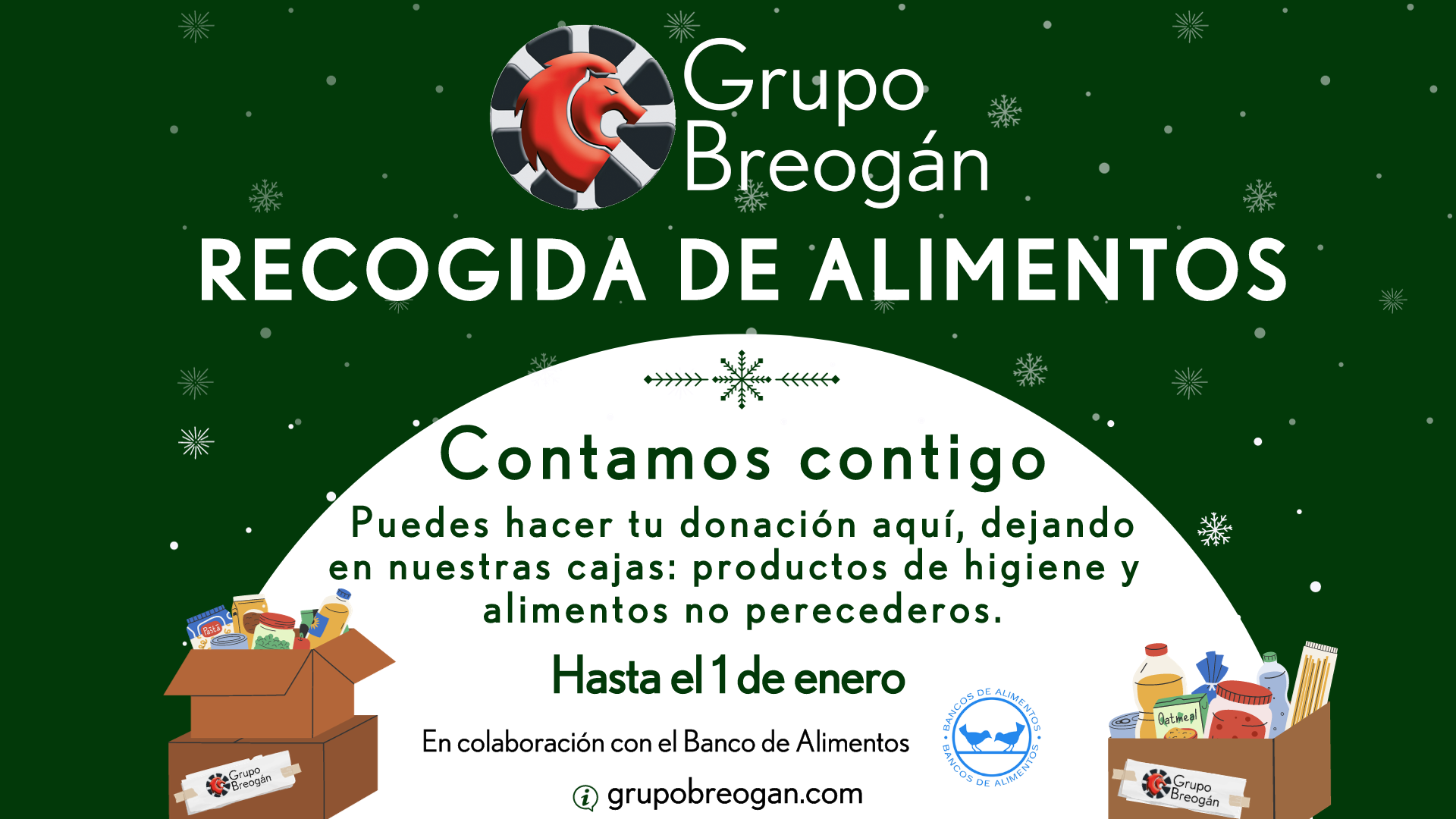 recogida de alimentos grupo breogán